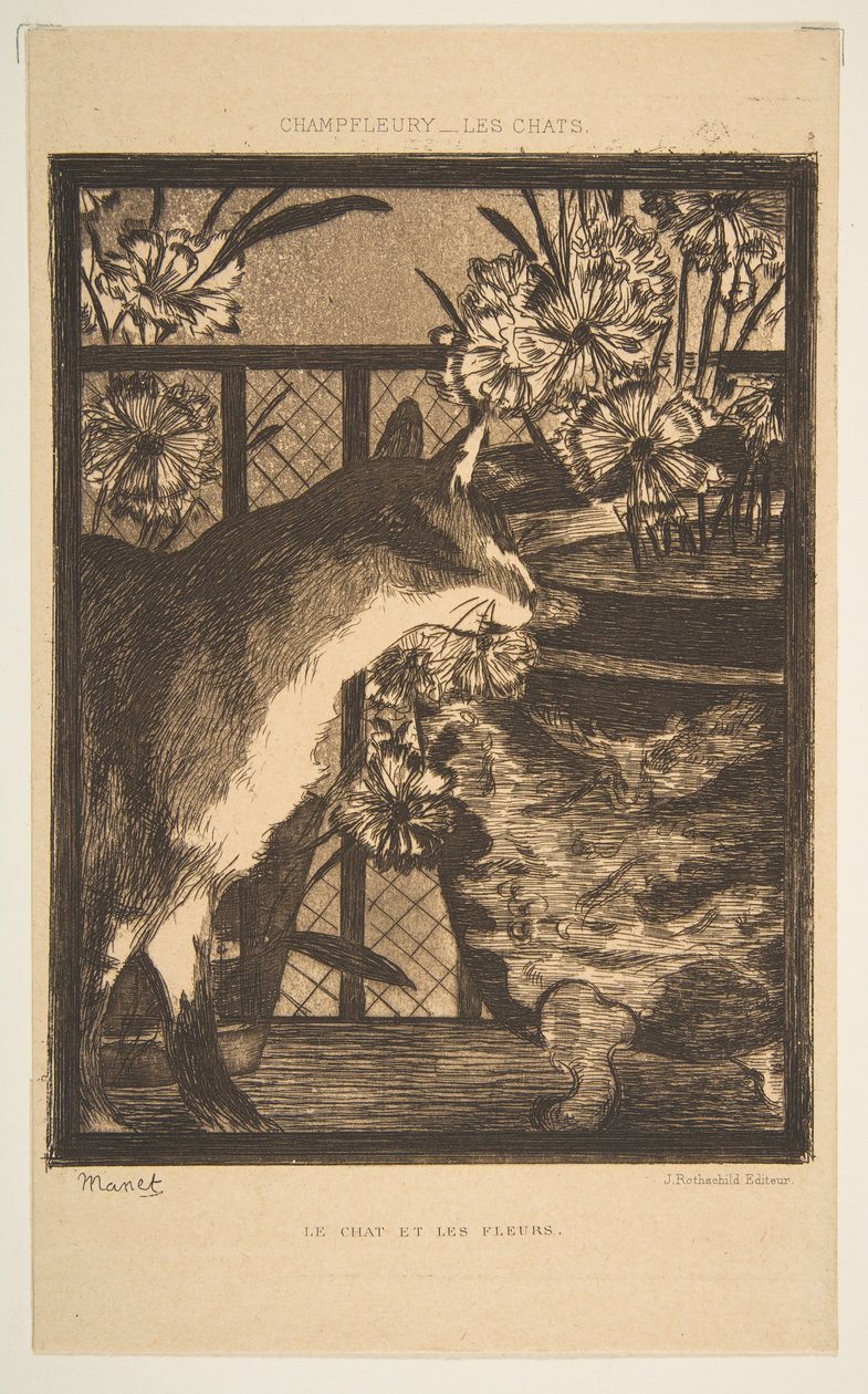Kot i kwiaty. Ilustracja do The Cats autorstwa Champfleury, 1869. autorstwa Édouard Manet