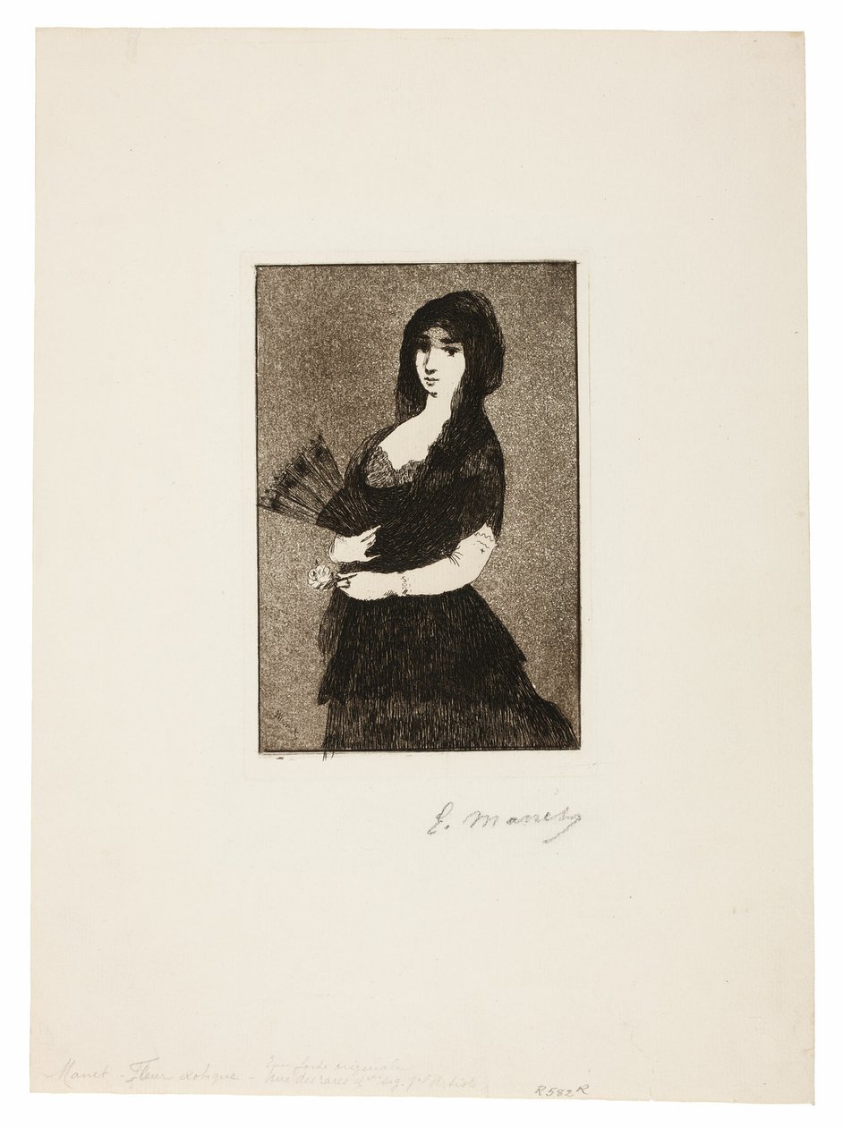 Egzotyczny Kwiat (Kobieta w Mantilli) autorstwa Édouard Manet