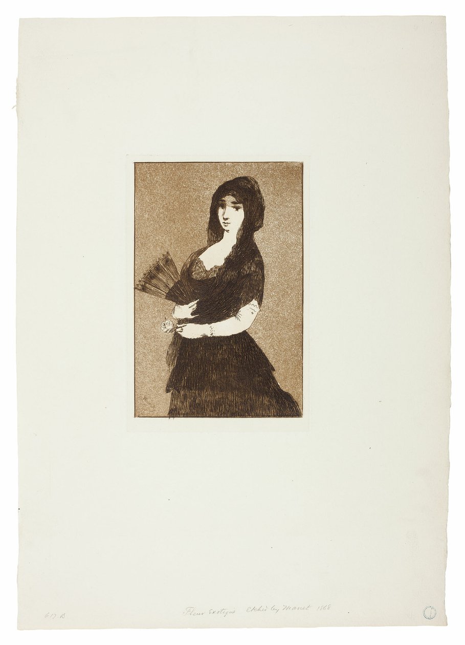 Egzotyczny Kwiat (Kobieta w Mantilli) autorstwa Édouard Manet