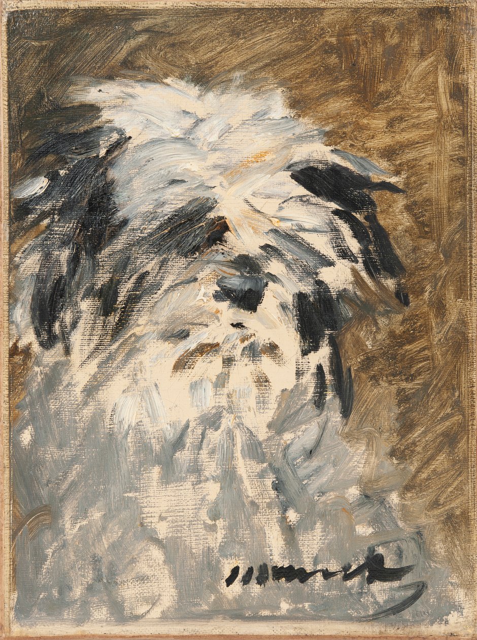 Francuski:  Minnay Minnay autorstwa Édouard Manet