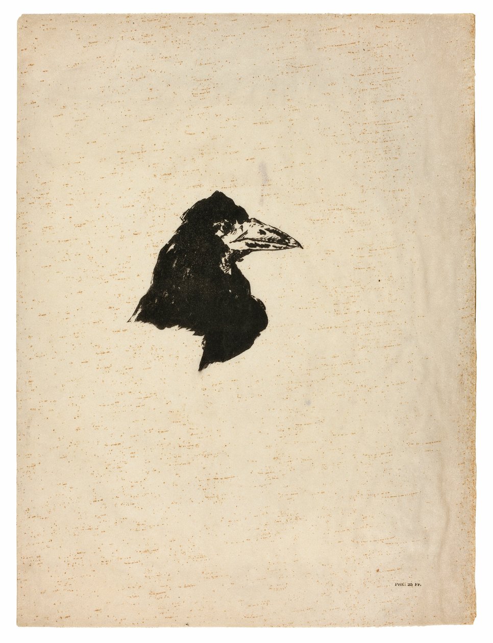 Głowa kruka z profilu, z filmu Kruk (Le Corbeau) autorstwa Édouard Manet