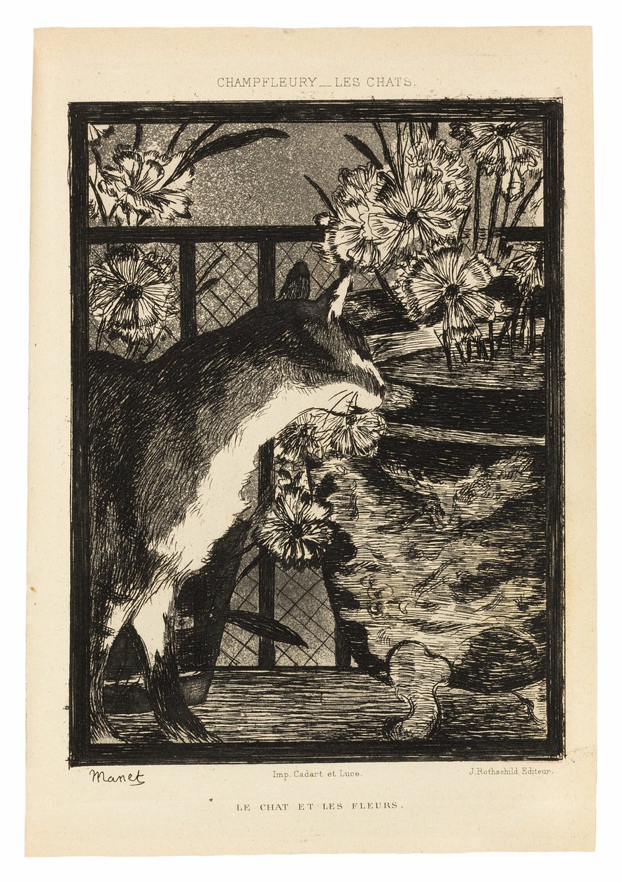 Koty autorstwa Édouard Manet
