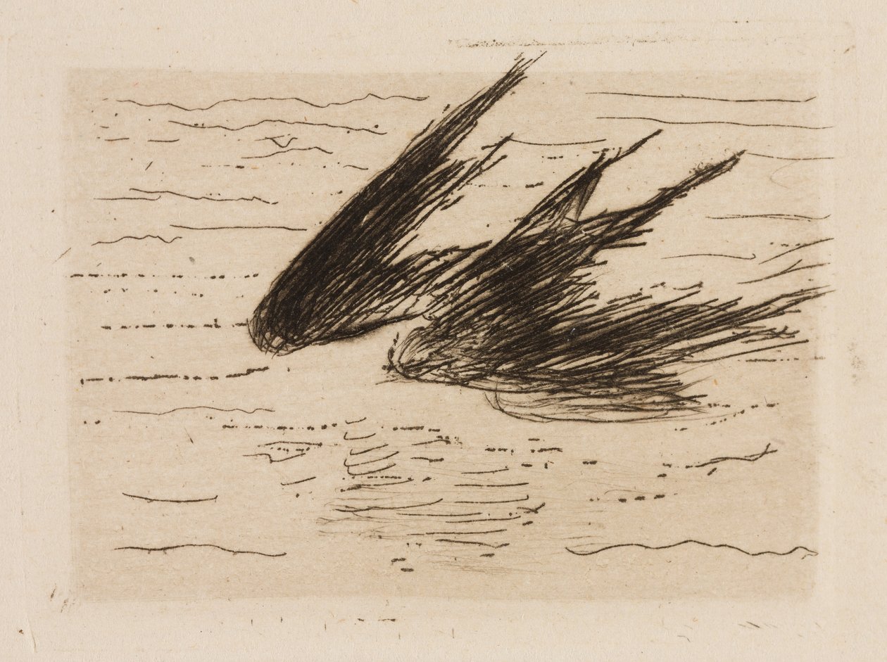 Jaskółki, płyta 8 z Le Fleuve autorstwa Édouard Manet