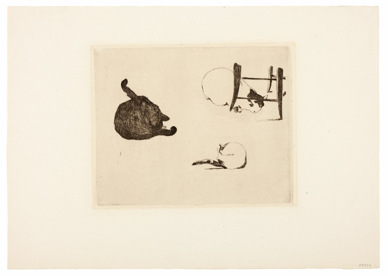 Koty autorstwa Édouard Manet