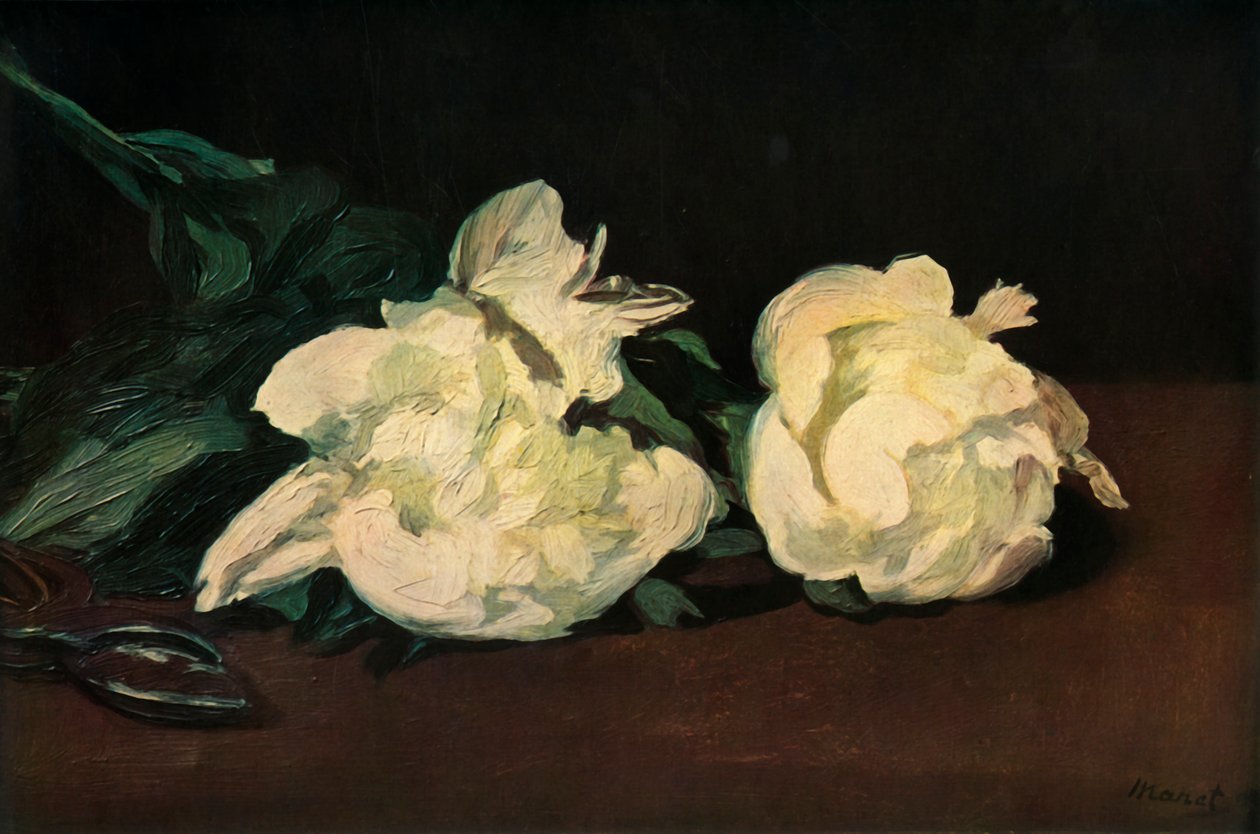 Białe piwonie, 1864, 1937. autorstwa Édouard Manet