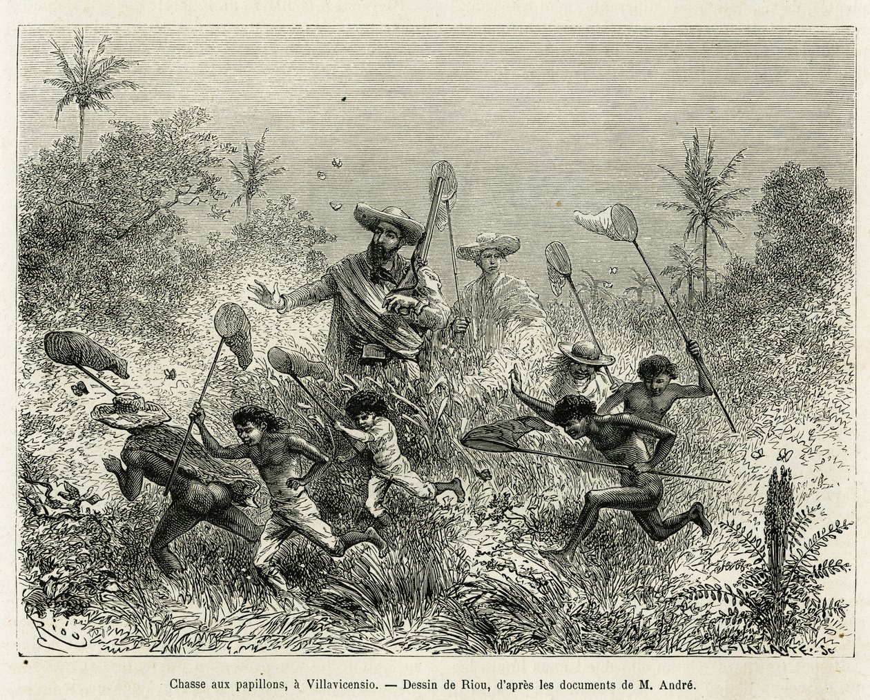 Grupa dzieci polowała na motyle, której towarzyszył autor, Villavicensio (Kolumbia), rysunek autorstwa Riou, ilustrujący historię Equinoxiale America (Kolumbia, Ekwador, Peru), w latach 1875-1876, autorstwa Ed. andre, podróżnik odpowiedzialny za misję prze autorstwa Edouard Riou