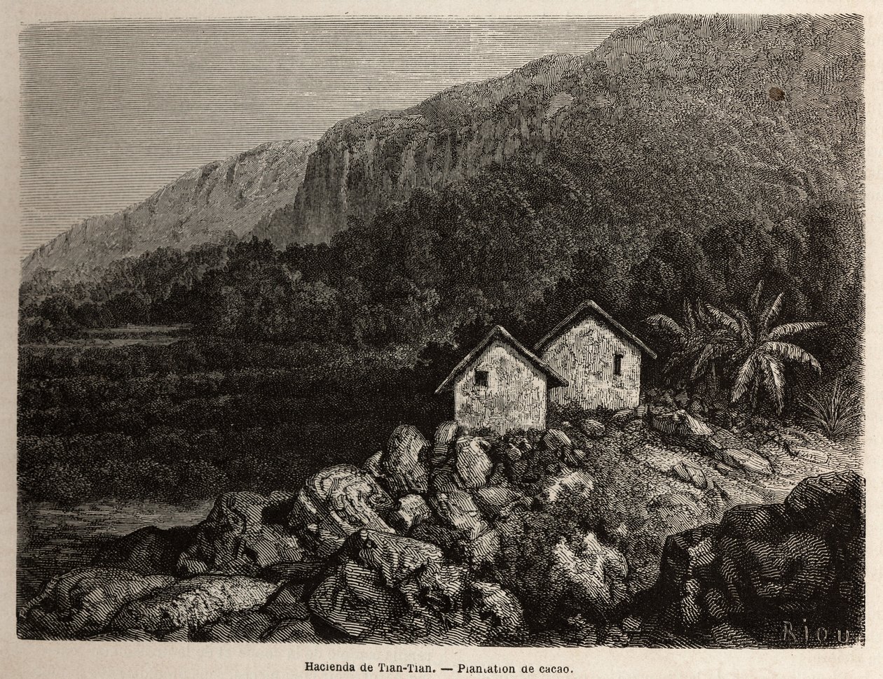 Hacjenda autorstwa Tian Tian, Peru i plantacja kakao, rysunek Riou, ilustrujący podróż Paula Marcoya przez Amerykę Południową w latach 1848-1860. Rycina w „”Le tour du monde””, pod redakcją Edouarda Chartona autorstwa Edouard Riou