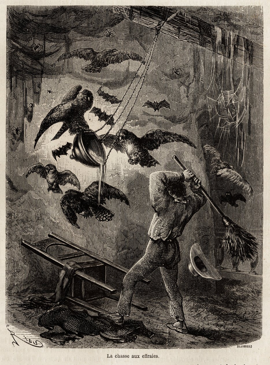 Polowanie na sowy schronione w kościele Sarayacu (Peru), rysunek Riou, ilustrujący podróż Paula Marcoya z Oceanu Spokojnego do Oceanu Atlantyckiego w latach 1848-1860. Rycina w „Le tour du monde” pod redakcją Edouarda Chartona autorstwa Edouard Riou