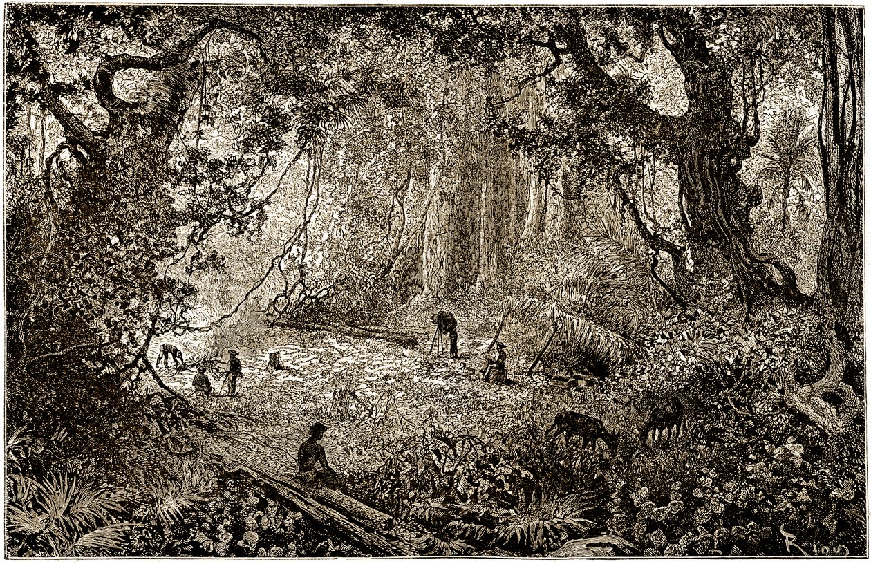 Instalacja obozu odkrywców w Gwatemali (1882) autorstwa Edouard Riou
