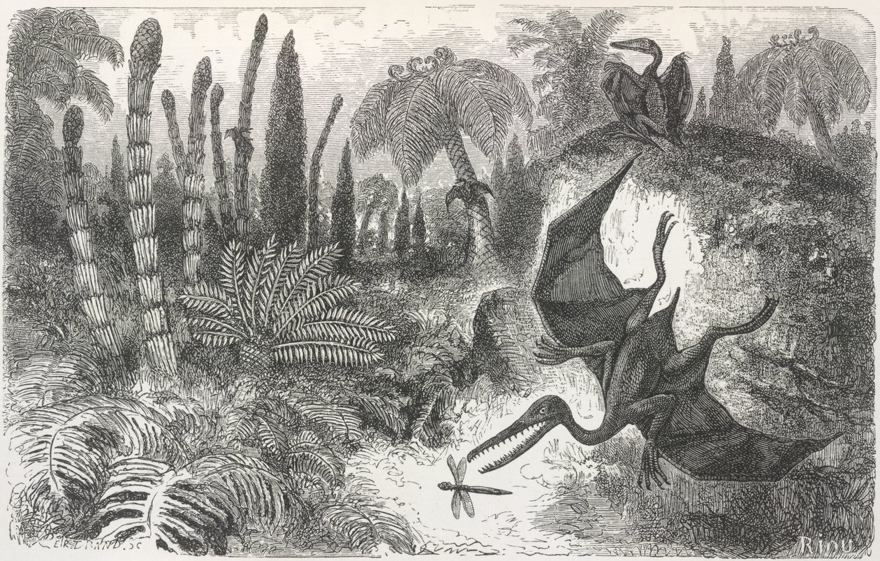 „Krajobraz okresu liasicznego”. Ilustracja przedstawiająca pterodaktyla autorstwa Edouard Riou