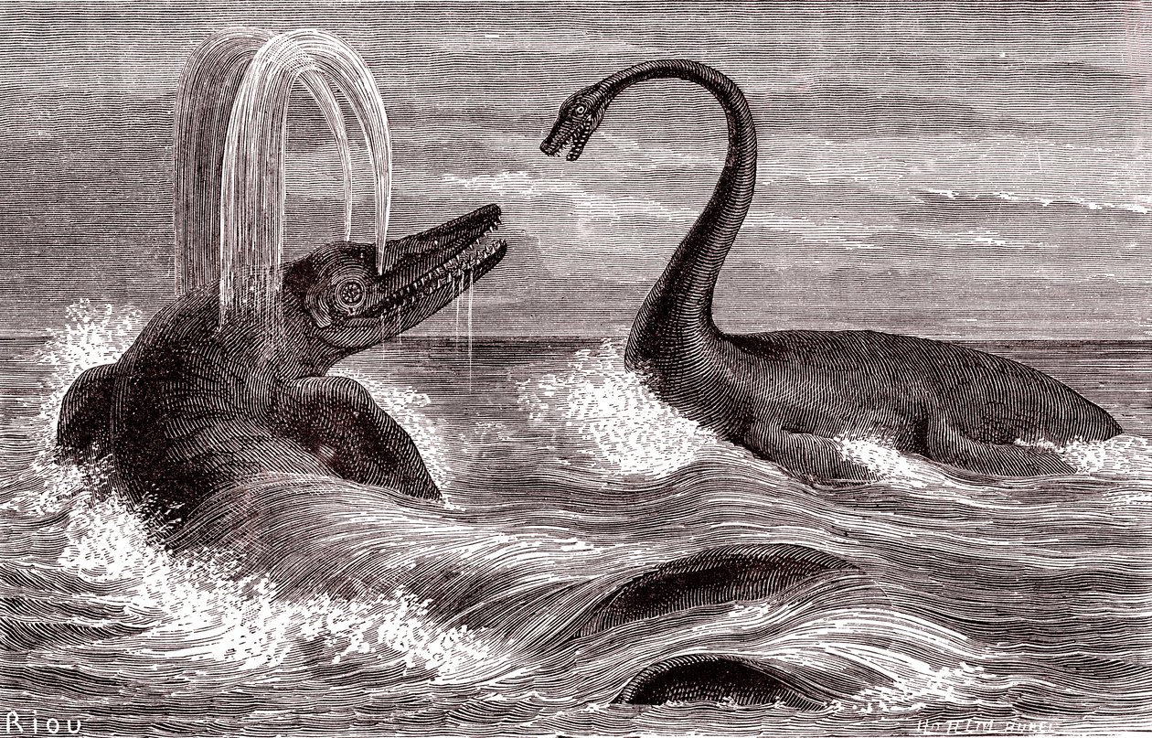Ichtiozaur i Plezjozaur autorstwa Edouard Riou