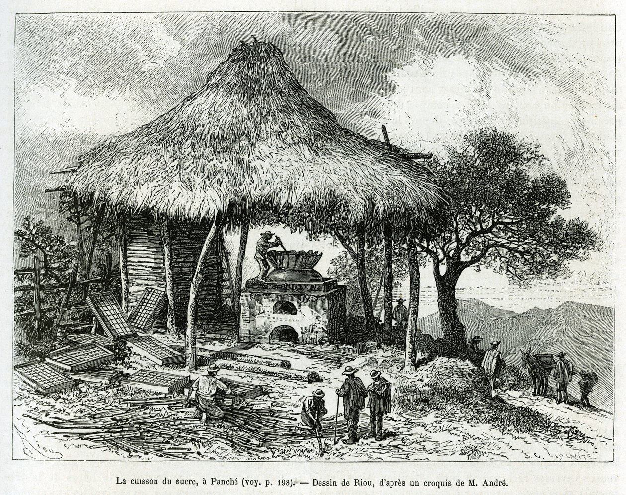 The Sugar Baking Oven, w Panche (Kolumbia), rysunek Riou, ilustrujący historię Equinoxiale America (Kolumbia, Ekwador, Peru), w latach 1875-1876, Ed. Andre, za misję podróżniczą od rządu francuskiego. Grawerowanie w Le tour du monde autorstwa Edouard Riou