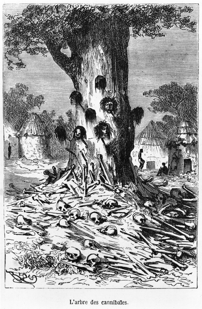 Drzewo kanibali, ilustracja z "Pięciu tygodni w balonie" Juliusza Verne