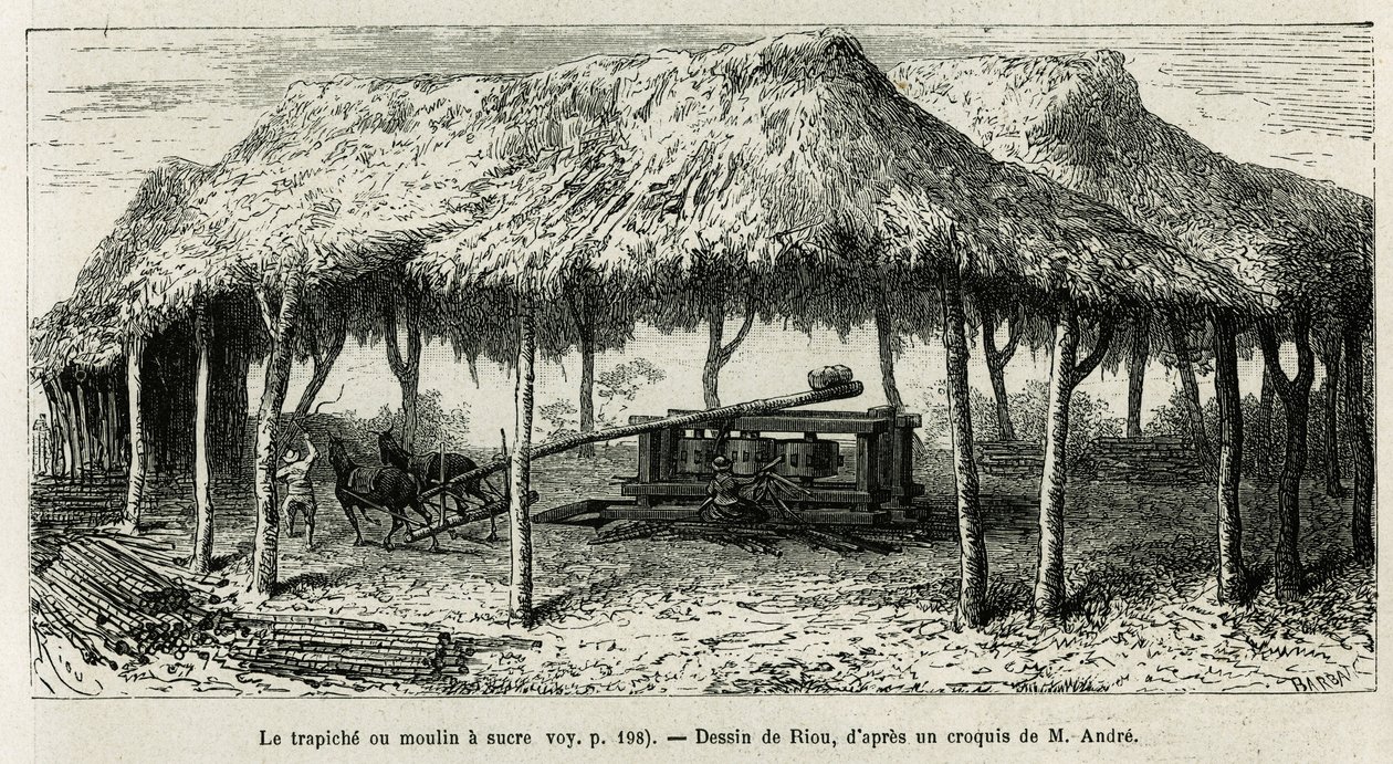 Trapiche, czyli młynek do cukru do mielenia laski w Panche (Kolumbia), rysunek Riou, ilustrujący historię Equinoxiale America (Kolumbia, Ekwador, Peru), w latach 1875-1876, autorstwa Ed. Andre, za misję podróżniczą od rządu francuskiego. Grawerowanie w Le  autorstwa Edouard Riou