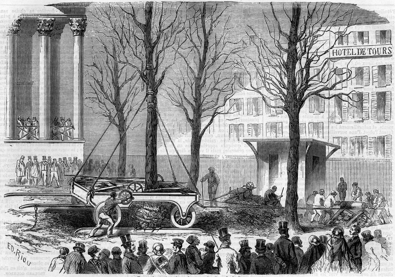 Przesadzanie drzew na Place de la Bourse w Paryżu zimą 1858 r. Rycina Riou w „Le Monde Illustré” nr 46 z 27 lutego 1858 r. autorstwa Edouard Riou