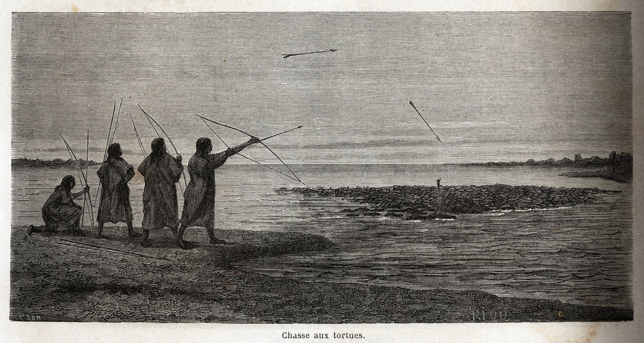 Polowanie na żółwie wśród indiańskich konibosów z Peru, narysowane przez Riou, aby zilustrować podróż P. Marcoya w latach 1848-1860 z Oceanu Spokojnego do Oceanu Atlantyckiego. Grawerowanie w „”Le tour du monde””, pod redakcją Edouarda Chartona autorstwa Edouard Riou