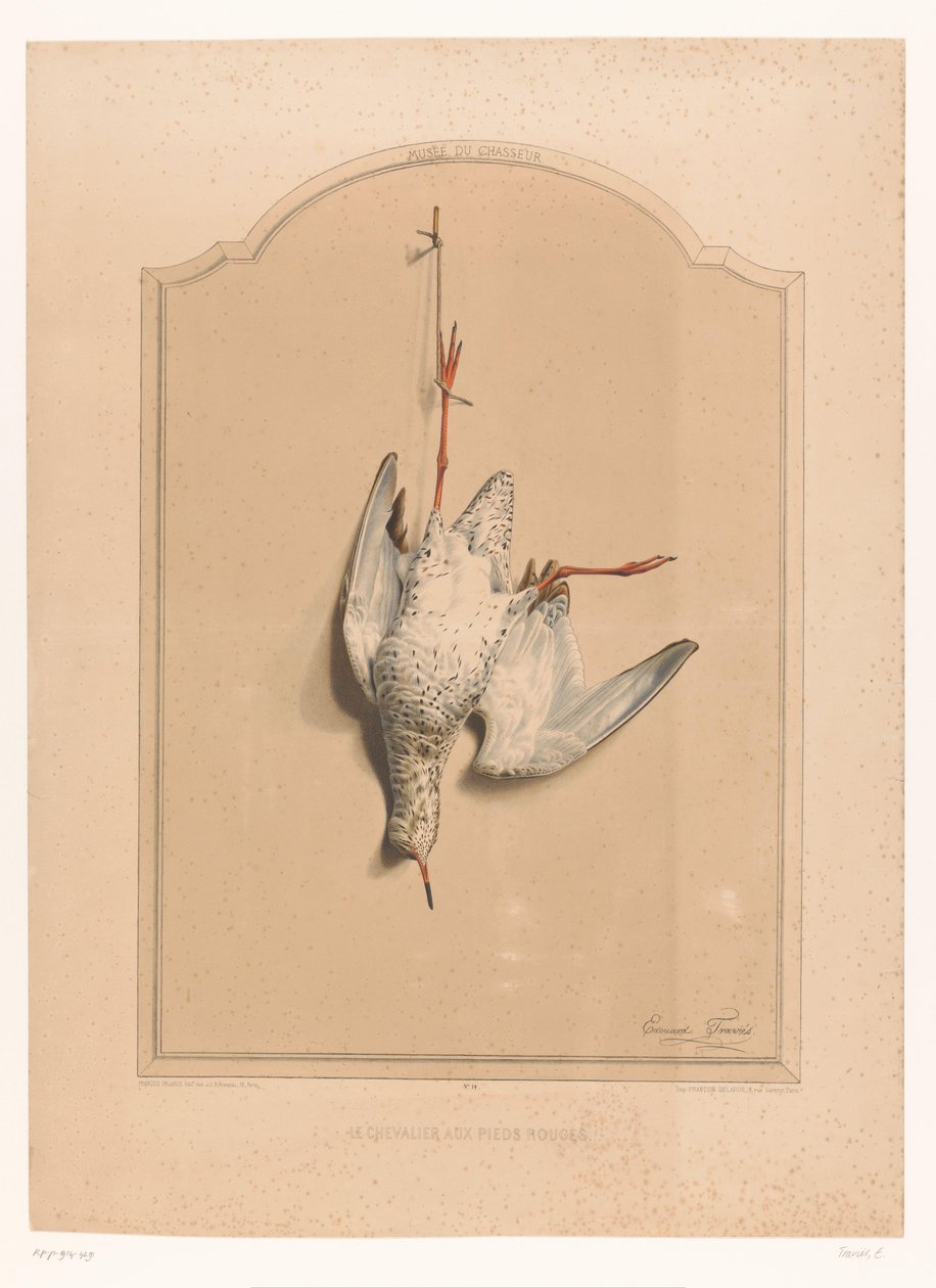 Martwy krwawodziob wisi na nodze Le chevalier aux pieds rouge (tytuł na obiekcie) Muzeum Łowcy (tytuł serii) Musée du chasseur (tytuł serii na obiekcie) autorstwa Edouard Travies