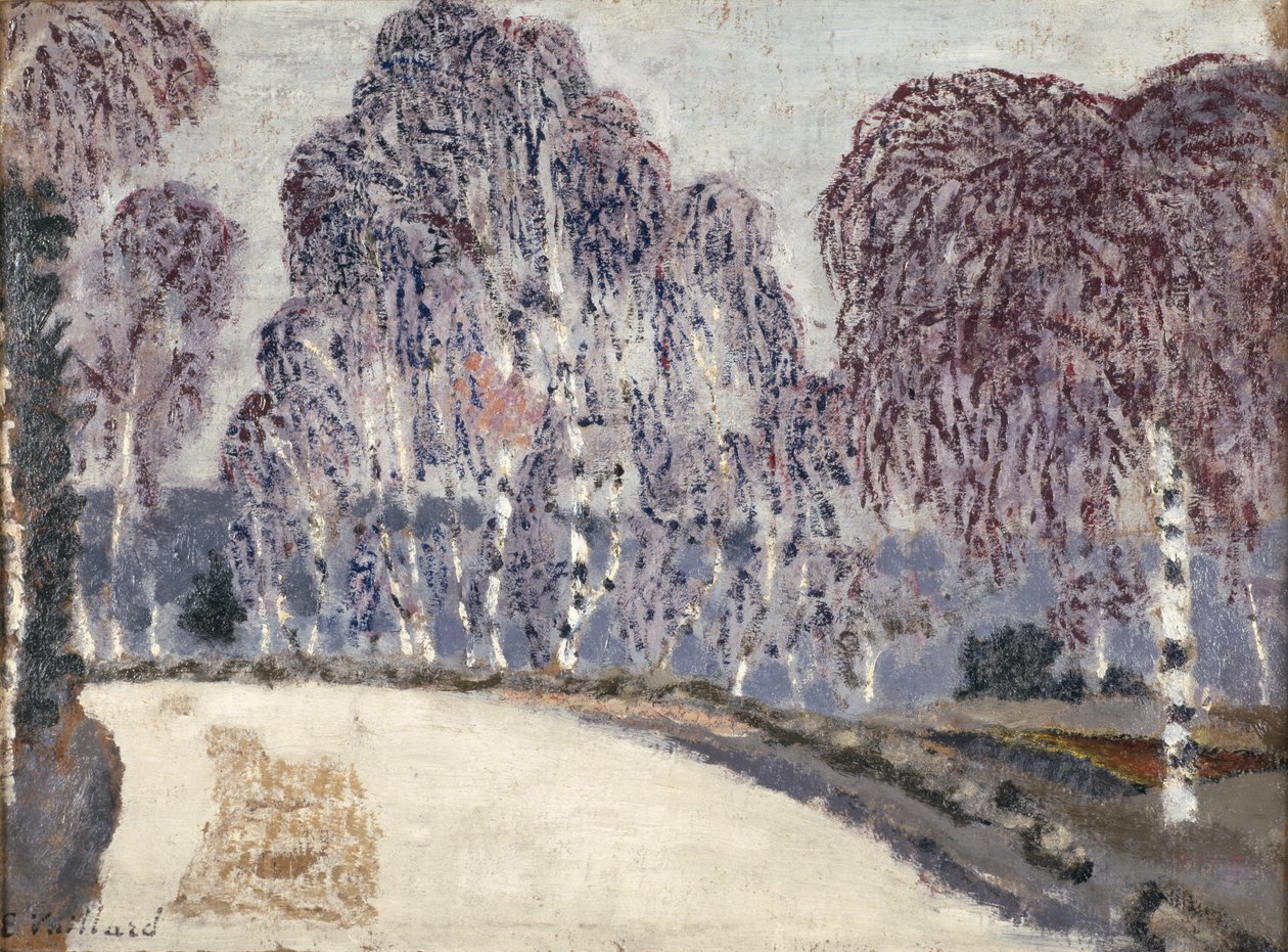Brzozy w LEtang-a-la-Ville, 1896 (olej na tekturze) autorstwa Edouard Vuillard