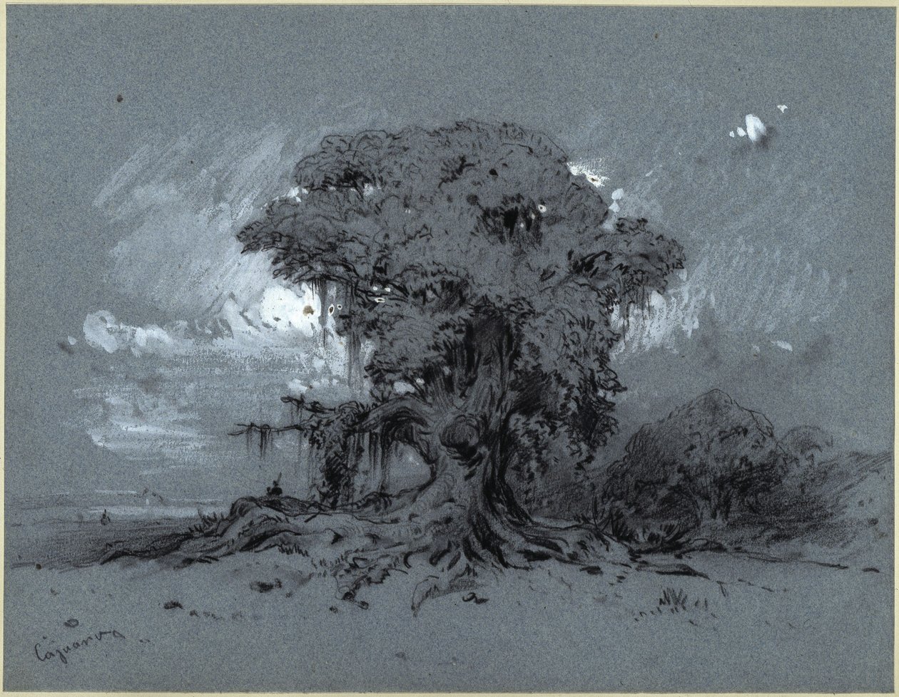 Stare drzewo autorstwa Eduard Hildebrandt