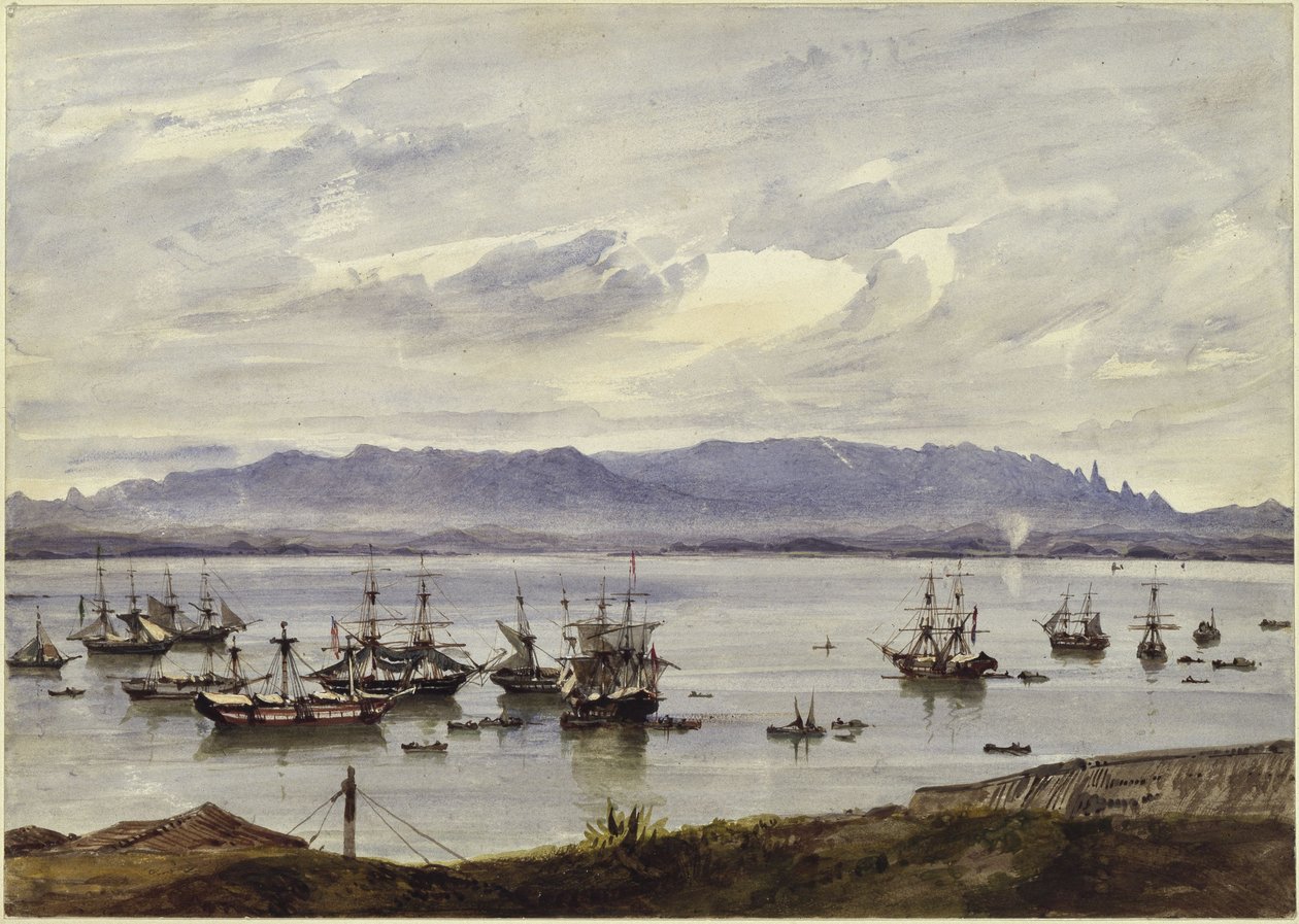 Panorama Rio de Janeiro autorstwa Eduard Hildebrandt