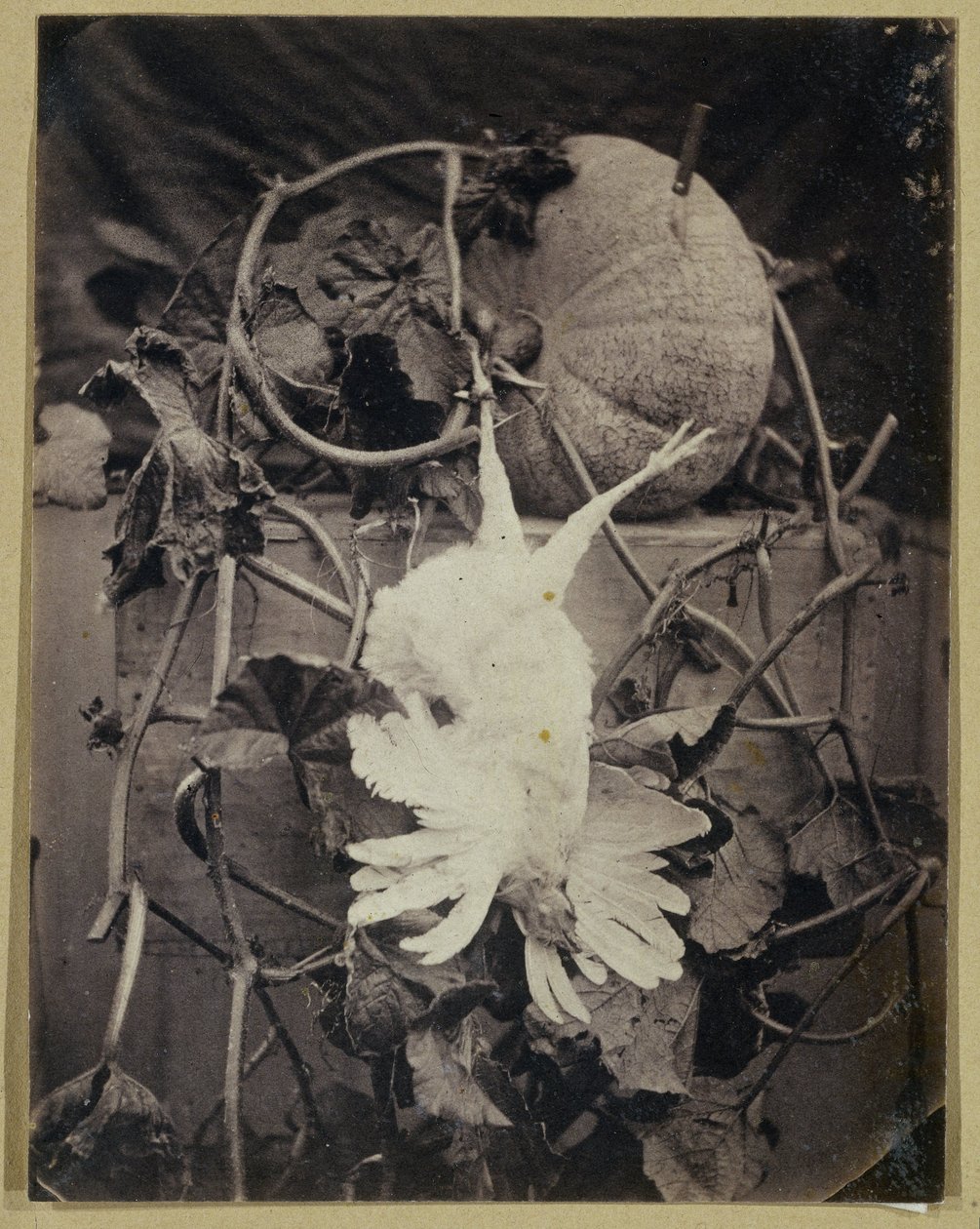 Martwa natura z martwym ptakiem i dynią autorstwa Eduard Isaac Asser