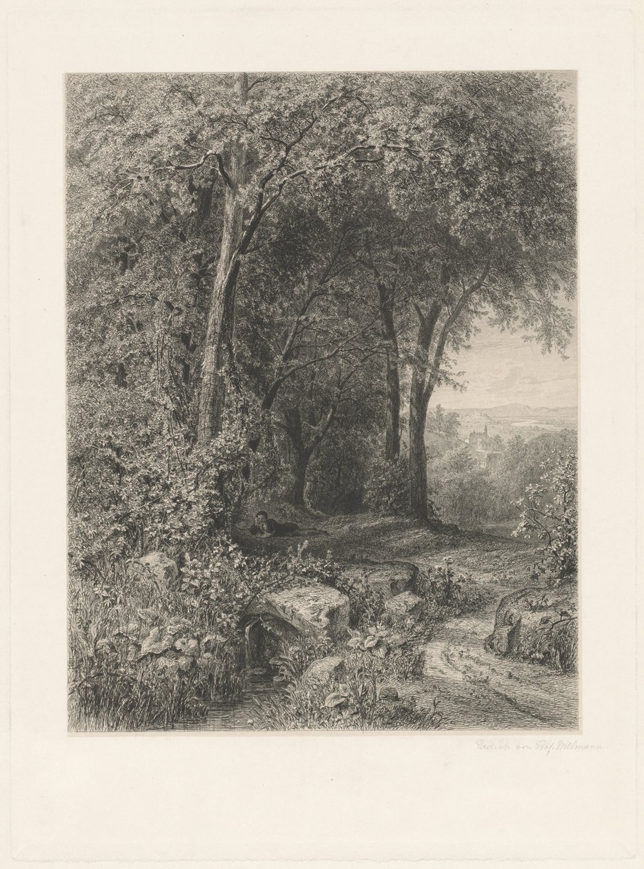 Lato autorstwa Eduard Willmann, after Julius Mařák