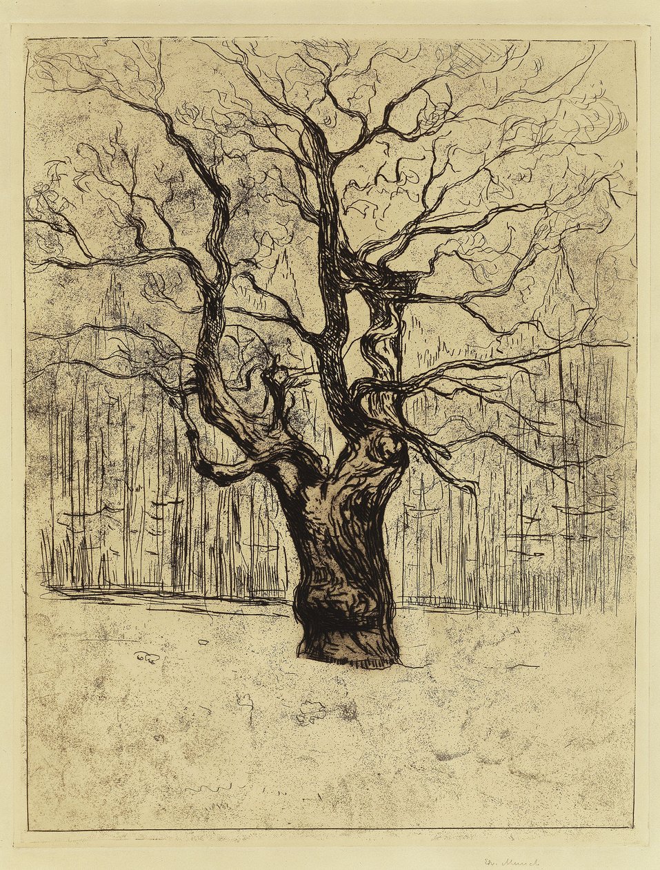 Dąb autorstwa Edvard Munch