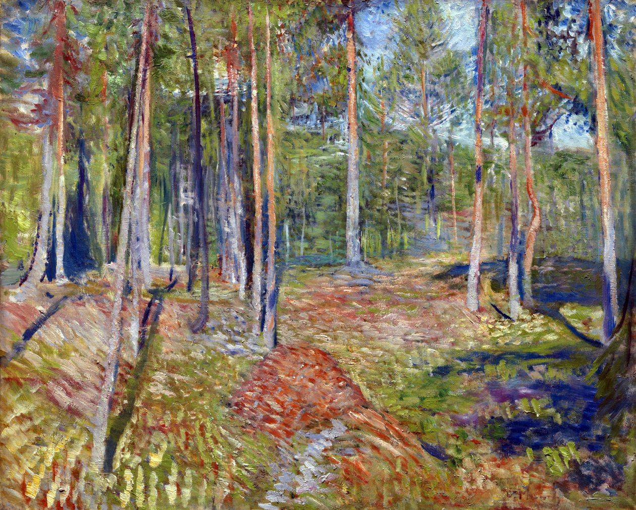 Las sosnowy - Obraz Edvarda Muncha (1863-1944) autorstwa Edvard Munch
