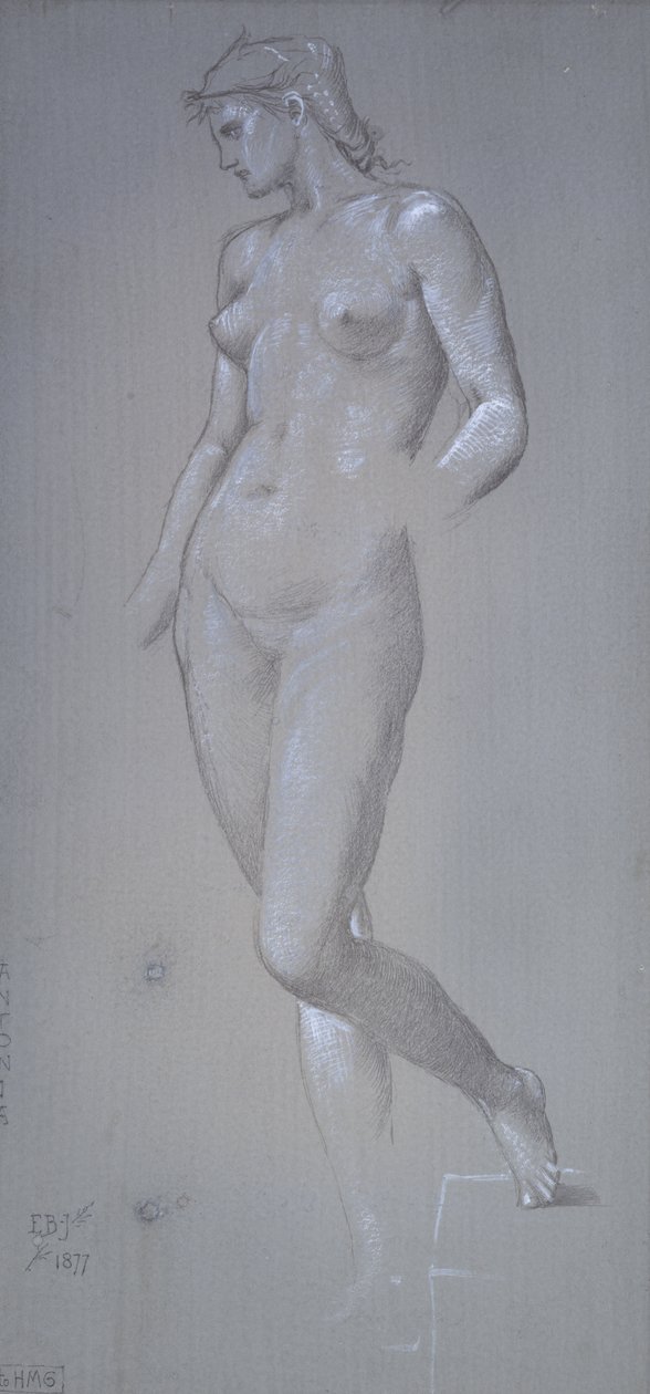 Antonia, 1877 (Silverpoint i kolor nadwozia na szarym przygotowanym podłożu) autorstwa Edward Burne Jones