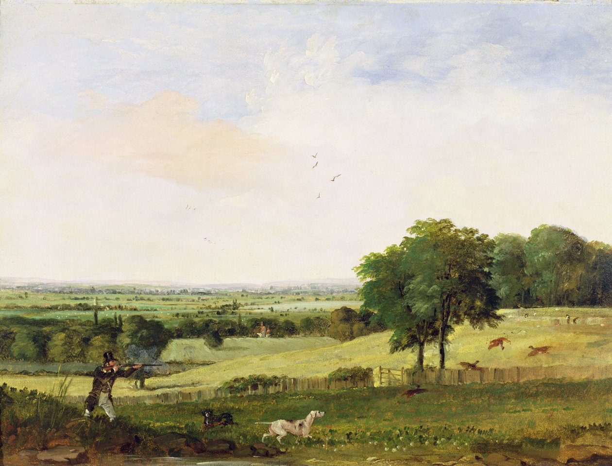 Strzelanie do kuropatw (olej na płycie pilśniowej) autorstwa Edward Duncan