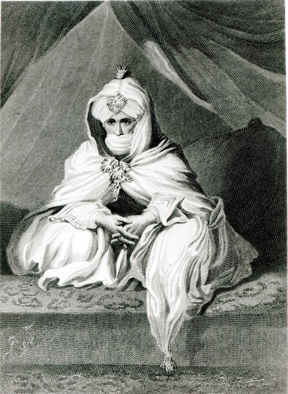 Alameen Ben Mohammed (El Kanemy), z „Narracji podróży i odkryć w Afryce Północnej i Środkowej”, 1826 autorstwa Edward Francis Finden