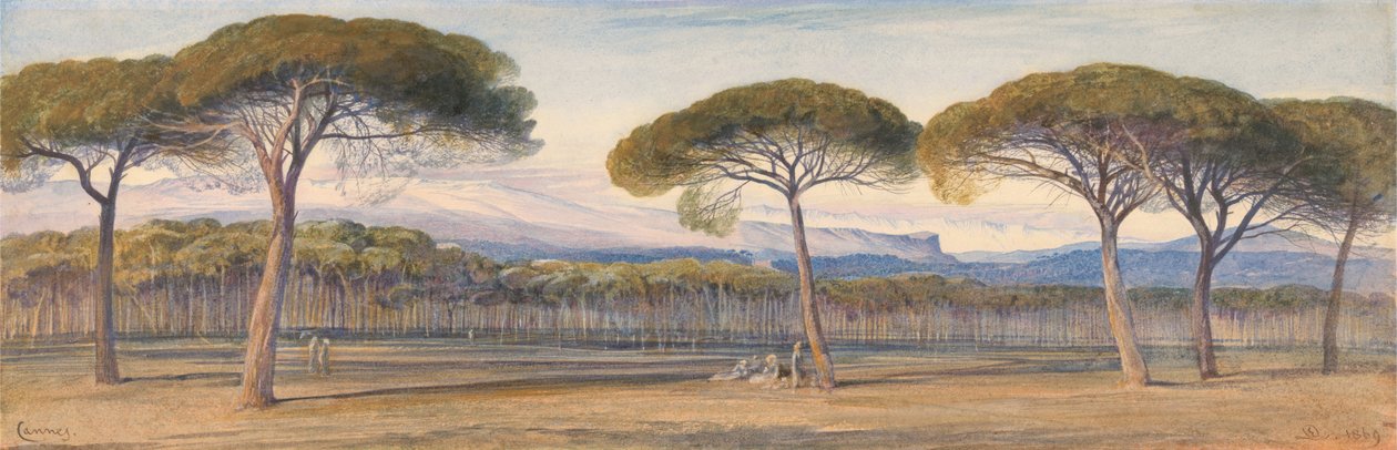 Widok na las sosnowy nad Cannes autorstwa Edward Lear