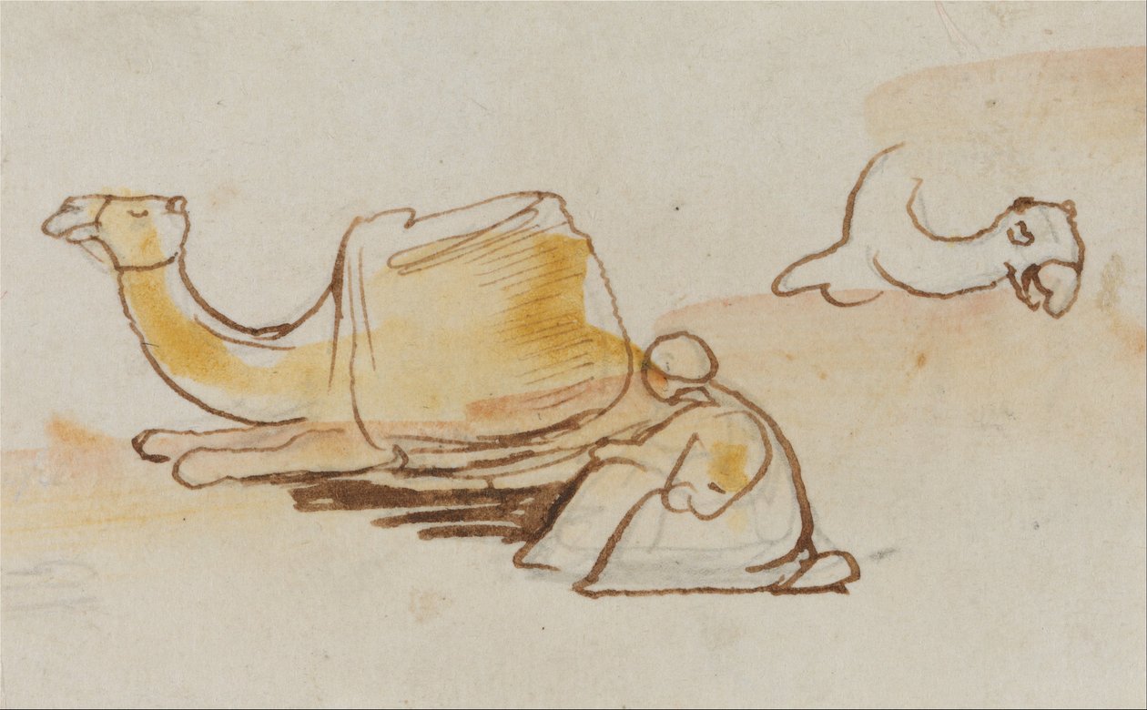 Studia na wielbłądach autorstwa Edward Lear