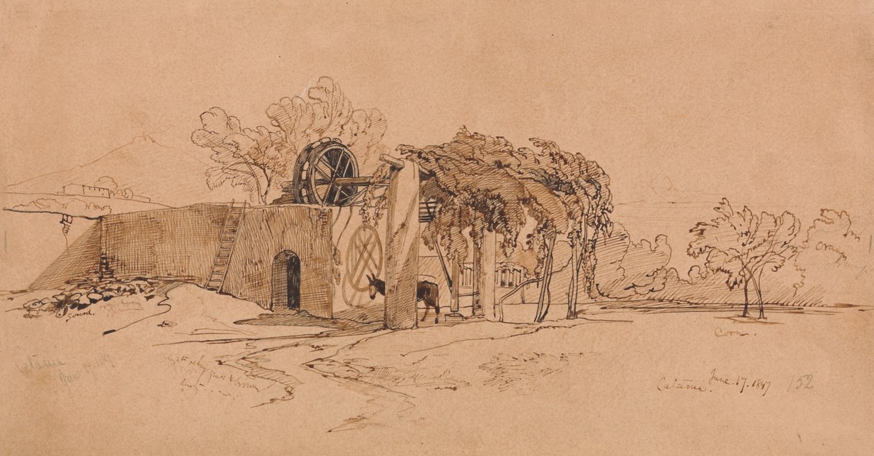 Katania autorstwa Edward Lear