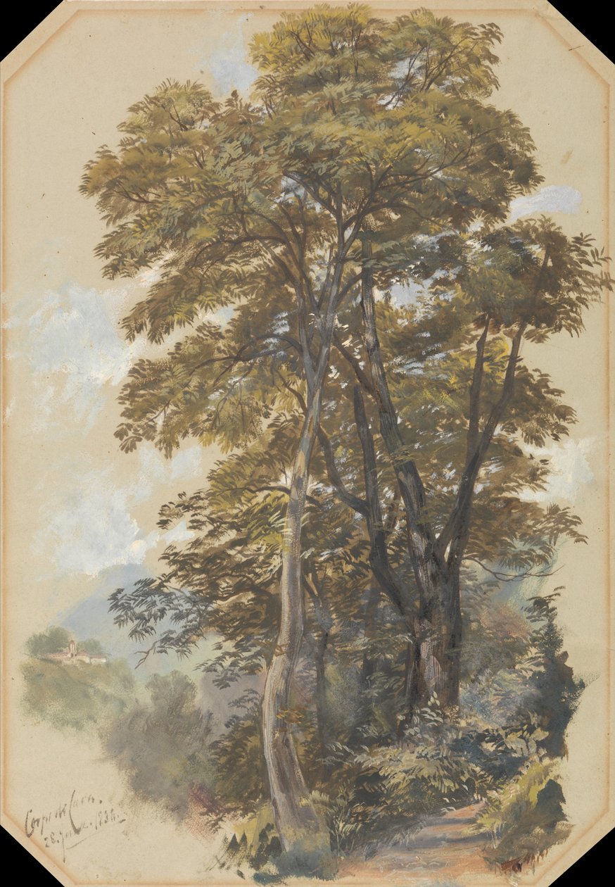 Korpus Cavy, 28 czerwca 1838 autorstwa Edward Lear