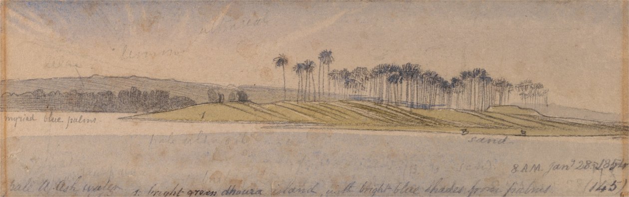 Wyspa Dhaura autorstwa Edward Lear