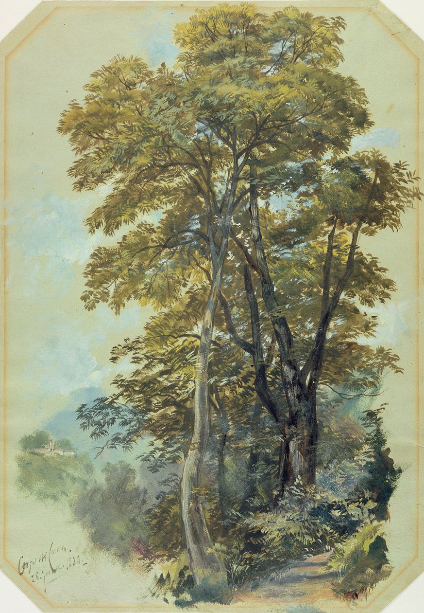 Edward Lear, Corpo di Cava, 28 czerwca 1838 (olej na szarym papierze tkanym) autorstwa Edward Lear