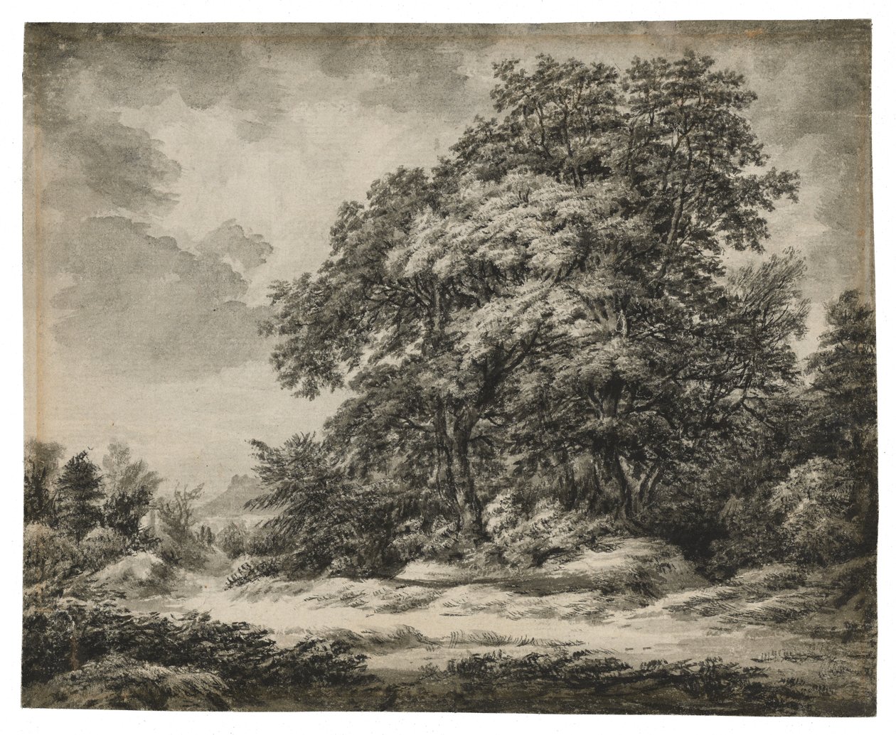 Krajobraz leśny (recto), ok. 1930 r. 1838-1848 (tusz i wash na papierze czerpanym) autorstwa Edward Lear