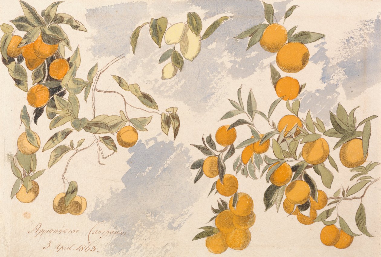 Drzewa owocowe, 3 kwietnia 1863 autorstwa Edward Lear