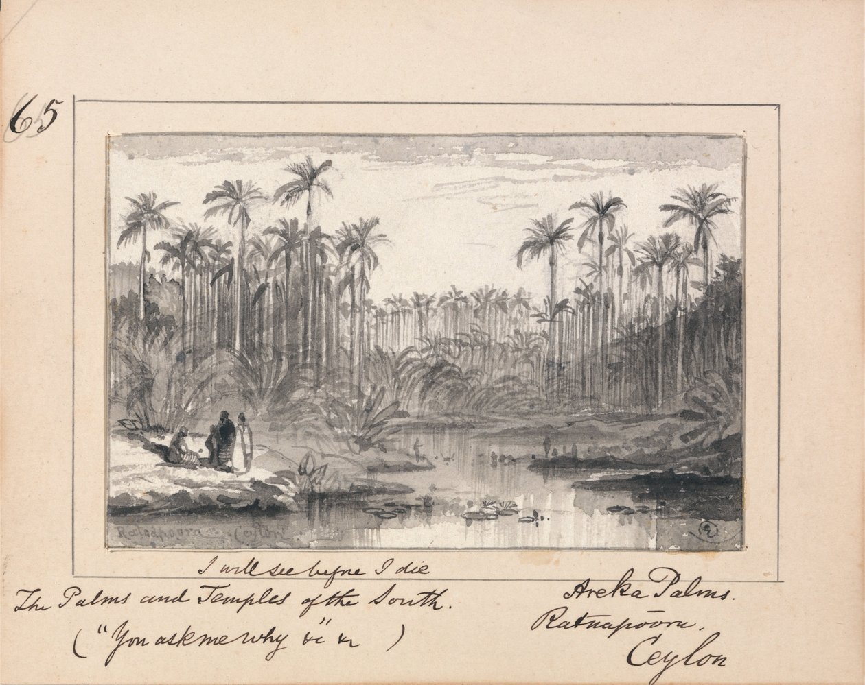 Ilustracja do „Pytasz mnie dlaczego” Tennysona – Areca Palms, Ratnapura, Cejlon autorstwa Edward Lear