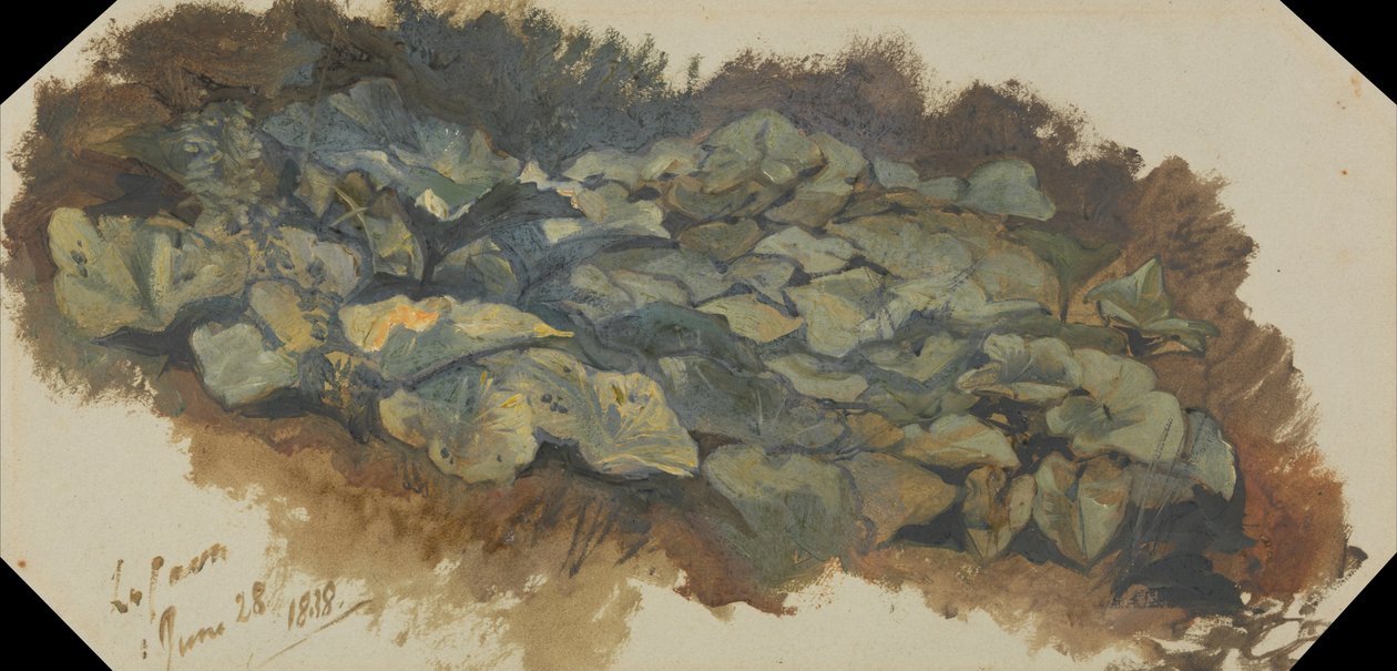 La Cava autorstwa Edward Lear