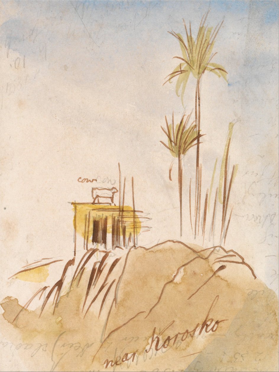 W pobliżu Korosko autorstwa Edward Lear