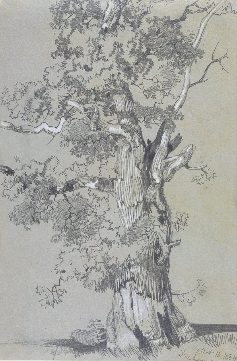 Parham, 13 października 1834 (grafit z białym gwaszem na brązowym papierze tkanym) autorstwa Edward Lear