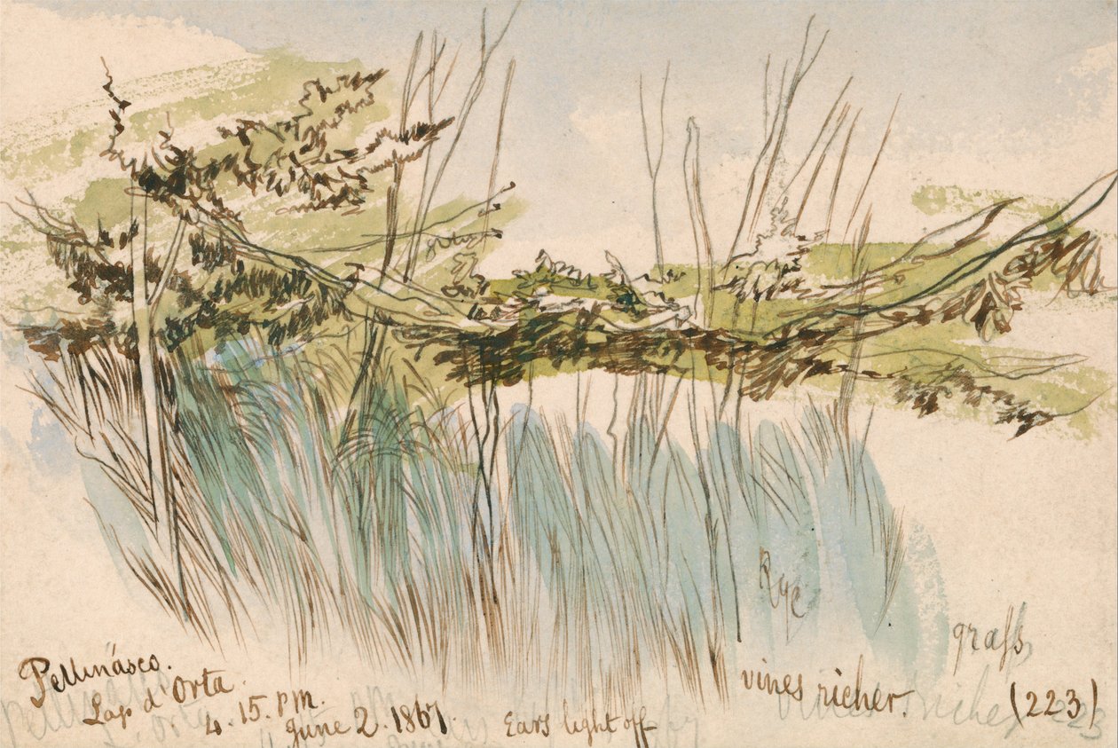 Pettenasco, Lago dOrta autorstwa Edward Lear