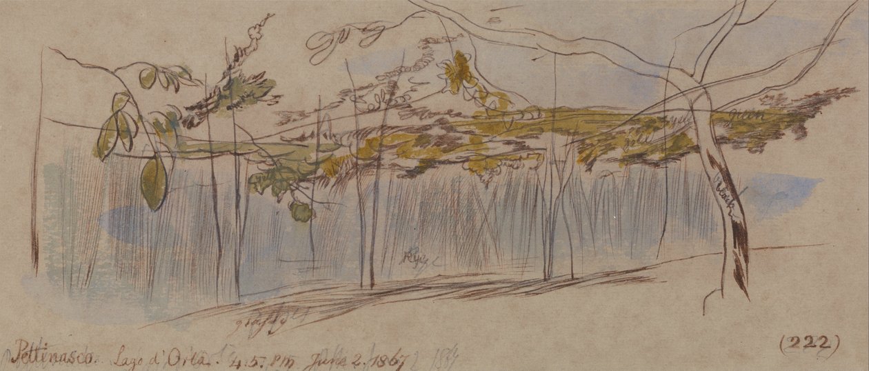 Pettenasco, Lago dOrta autorstwa Edward Lear