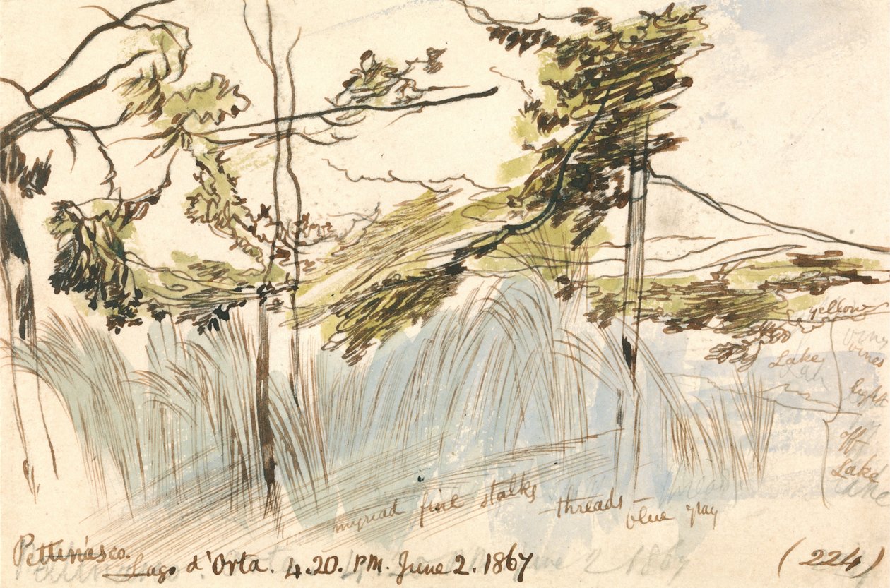 Pettenasco, Lago dOrta, godz. 16-20, 2 czerwca 1867 (224) autorstwa Edward Lear