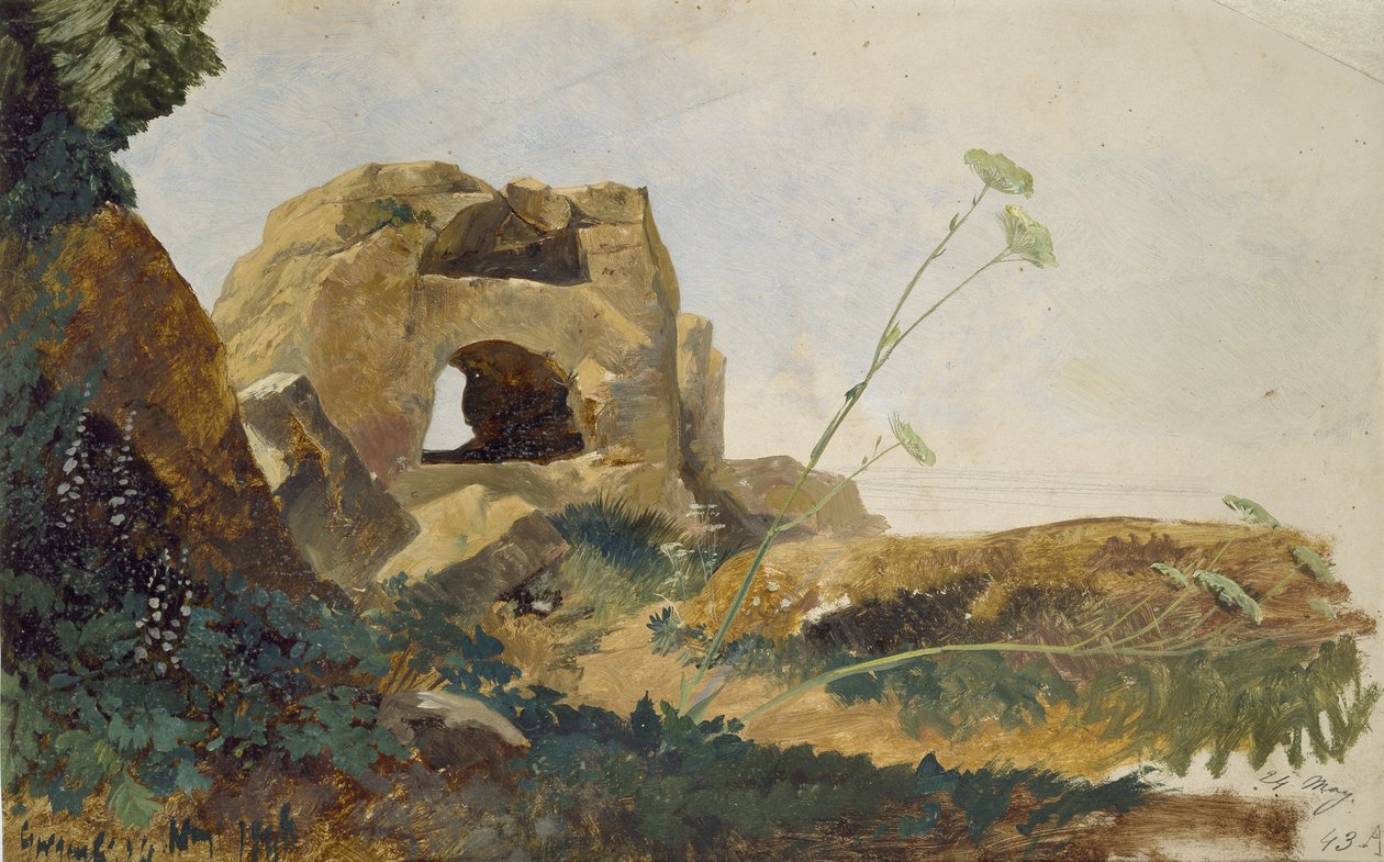 Study of Rocks and Foliage, Agrigento (Girgenti), Sycylia, 1847 (olej na błyszczącym papierze w kolorze złamanej bieli) autorstwa Edward Lear