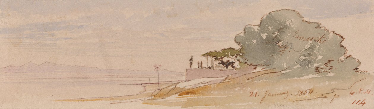 Teby autorstwa Edward Lear