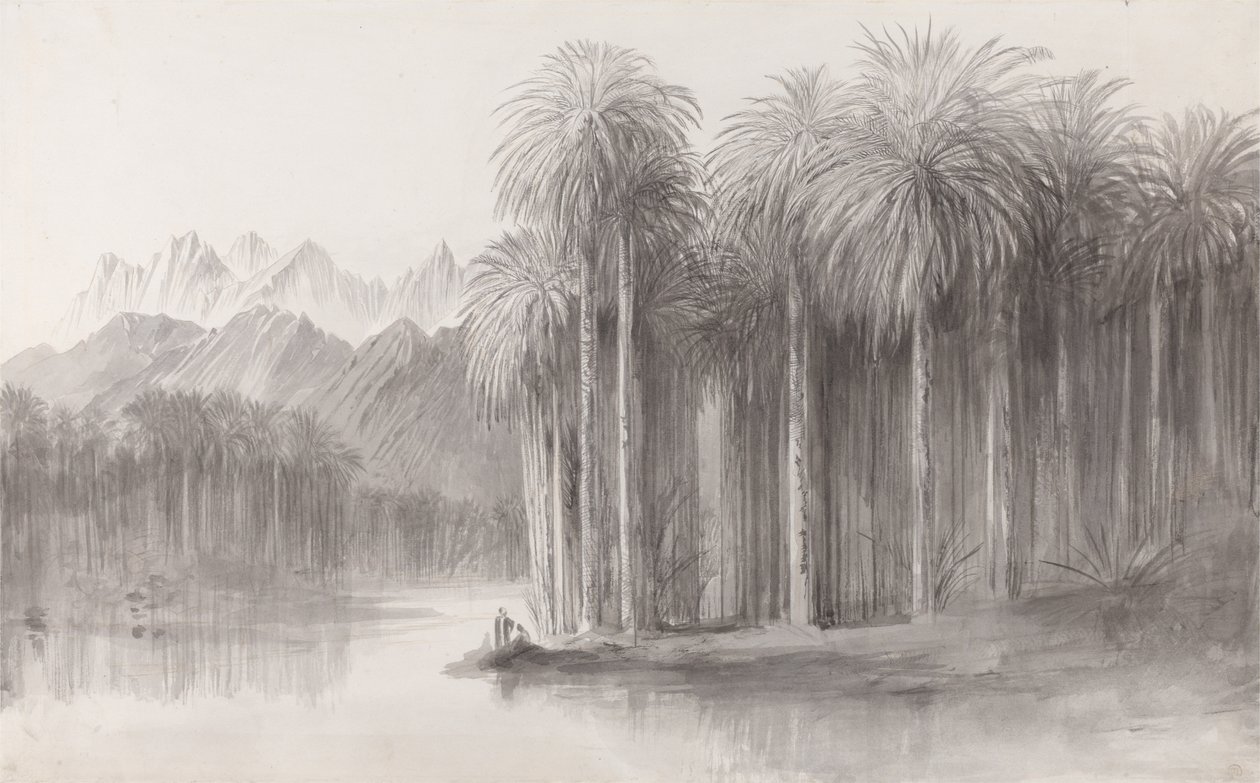 Wady Feiran, Peninsula of Mt. Sinai autorstwa Edward Lear