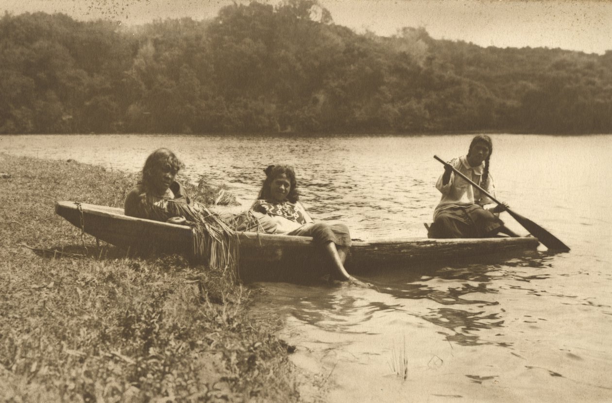Waka, Jezioro Rotoiti, ok. 1915 (srebrny odbitka żelatynowa) autorstwa Edward Payton